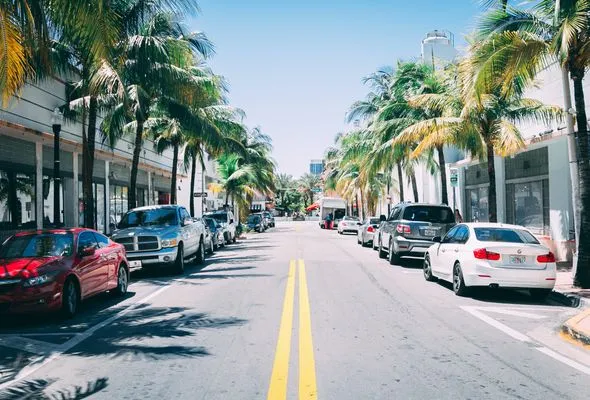 Retail shops on street lined with palm trees in the sunny Miami Florida